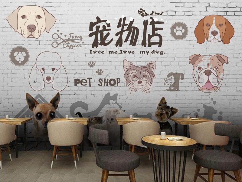 三大宠物店装修设计技巧 让你装修不迷茫